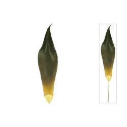 comprar 811176 HOJA ALOE VERA LATEX (1826) online de desde 15,60 € comprar 811176 HOJA ALOE VERA LATEX (1826) online de desde 15,60 €