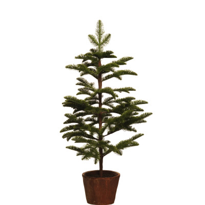 comprar ABETO SPRUCE - Árbol con maceta - 75cm y 92cm online de  desde 78,65 €