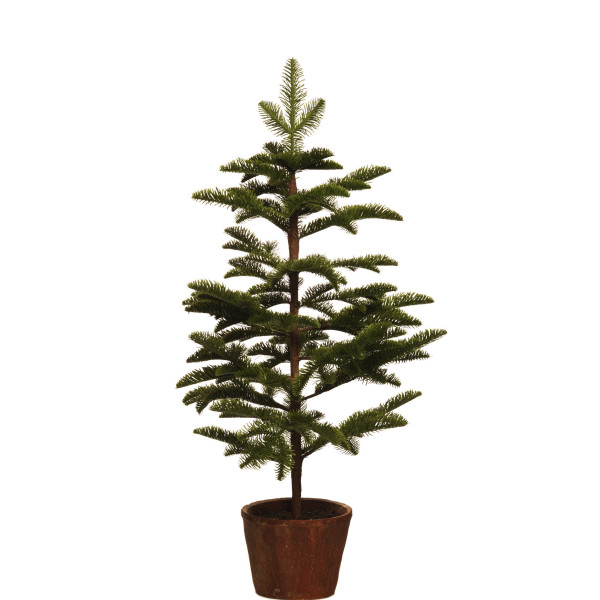 ABETO SPRUCE - Árbol con maceta - 75cm y 92cm