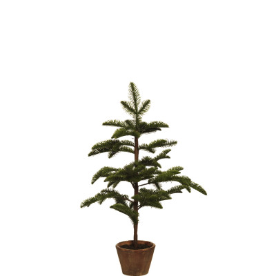 comprar ABETO SPRUCE - Árbol con maceta - 75cm y 92cm online de desde 78,65 € comprar ABETO SPRUCE - Árbol con maceta - 75cm y 92cm online de desde 78,65 €