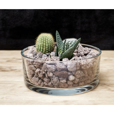 comprar TERRINA online de  desde 23,28 €