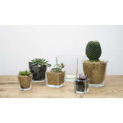 comprar MINI REDONDO online de  desde 1,85 €