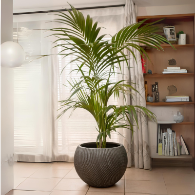 comprar Maceta Loria online de  desde 60,29 €