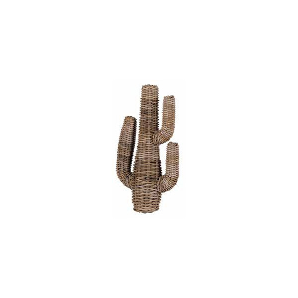 CACTUS - RATTAN