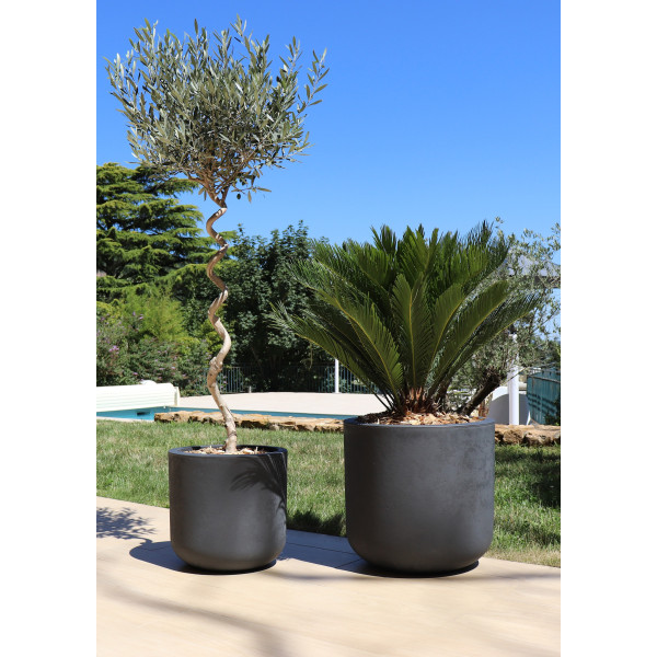 BASALT CAMPANA