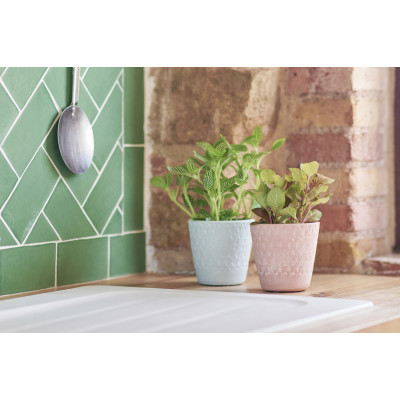 comprar ELMA MACETERO online de desde 9,29 € comprar ELMA MACETERO online de desde 9,29 €