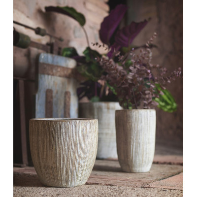 comprar ZENE MACETERO online de  desde 17,13 €