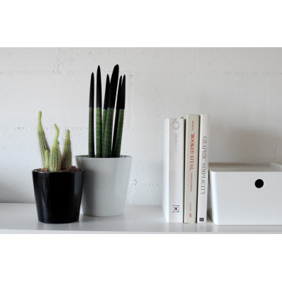 comprar DEVA MACETERO online de  desde 3,86 €