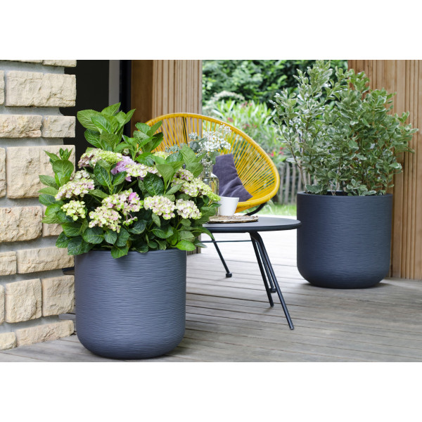 GRAPHIT CAMPANA