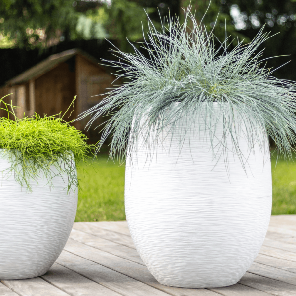 GRAPHIT CAMPANA EGG