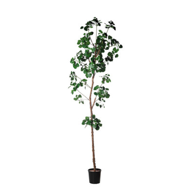 comprar Fb Arbol Rama Begonia 300cm C/M (307654) Verde online de  desde 560,51 €