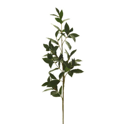 comprar Fb Arbol Rama Laurel 300cm C/M (307638) Verde online de  desde 672,95 €