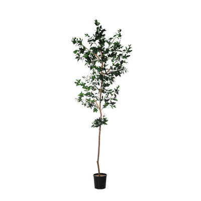 comprar Fb Arbol Rama Laurel 300cm C/M (307638) Verde online de  desde 672,95 €