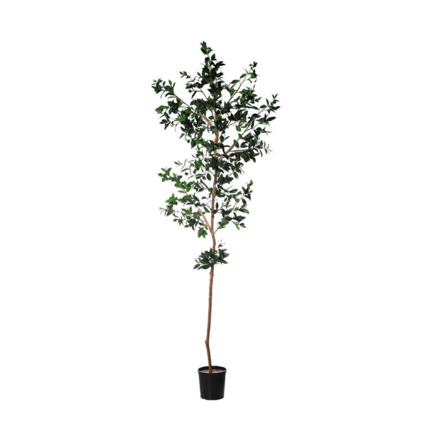 Fb Arbol Rama Laurel 300cm C/M (307638) Verde