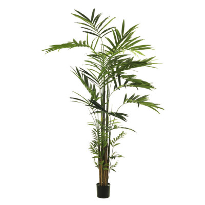 comprar Im Palmera Kentia X499 360cm C/Mac Verde online de desde 574,99 € comprar Im Palmera Kentia X499 360cm C/Mac Verde online de desde 574,99 €