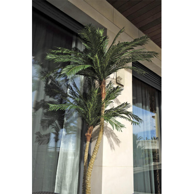 comprar Im Palmera Phoenix Tropical X3/2331 260cM Verde online de  desde 781,18 €