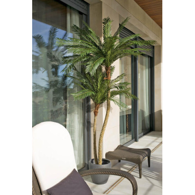 comprar Im Palmera Phoenix Tropical X3/2331 260cM Verde online de  desde 781,18 €