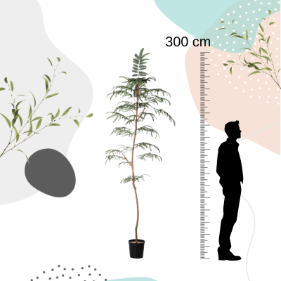 comprar Fb Arbol Helecho Fern 300cm C/M (307571/ Verde online de  desde 424,22 €