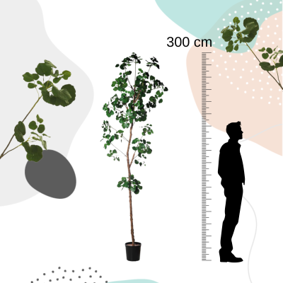 comprar Fb Arbol Rama Begonia 300cm C/M (307654) Verde online de  desde 560,51 €