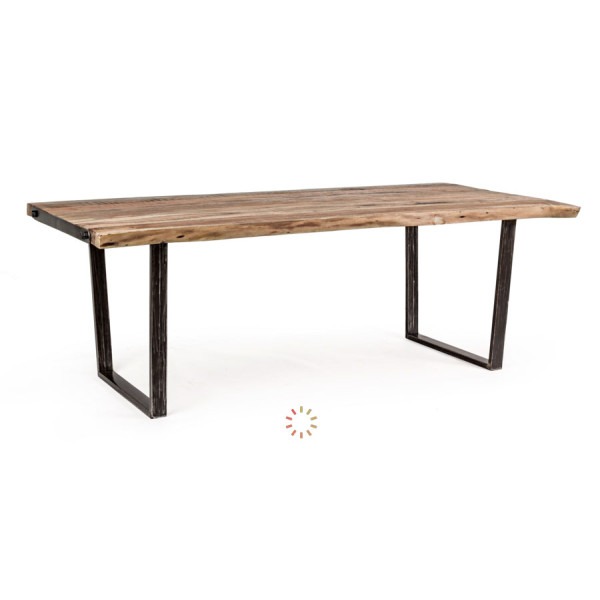 MESA ELMER 220X100