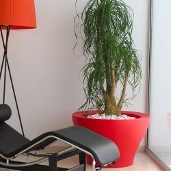 comprar Maceta Centro Alto Aire Small online de desde 164,56 € comprar Maceta Centro Alto Aire Small online de desde 164,56 €