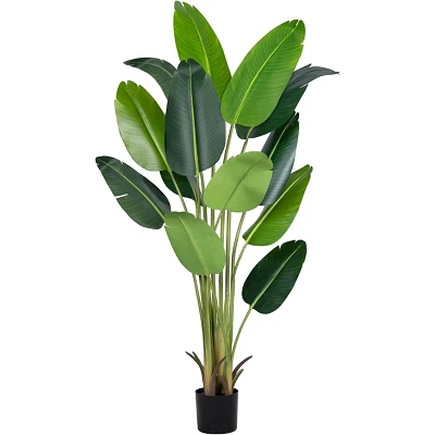 comprar Ave del Paraíso (Strelitzia, flor del paraíso) - 180 cm online de desde 102,85 € comprar Ave del Paraíso (Strelitzia, flor del paraíso) - 180 cm online de desde 102,85 €