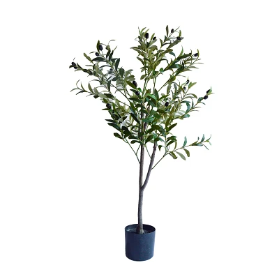 comprar Olivo - 120 cm online de  desde 45,36 €