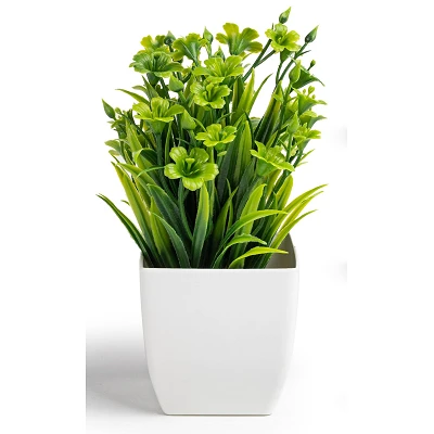 comprar Planta Chica Eucalipto 18 cm - 4u. online de desde 11,52 € comprar Planta Chica Eucalipto 18 cm - 4u. online de desde 11,52 €