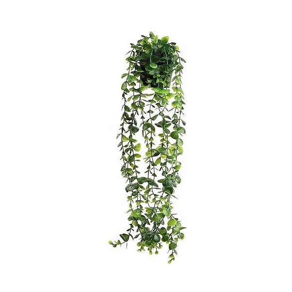 Colgante con Maceta - 63 cm