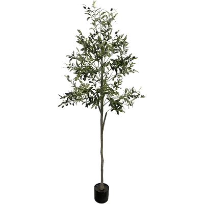 comprar Olivo - 180 cm online de desde 76,32 € comprar Olivo - 180 cm online de desde 76,32 €