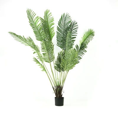 comprar Palmera Areca - 180 cm online de desde 75,60 € comprar Palmera Areca - 180 cm online de desde 75,60 €
