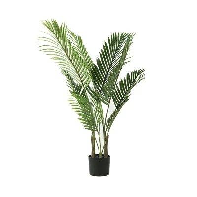 comprar Palmera Areca - 110 cm online de desde 39,60 € comprar Palmera Areca - 110 cm online de desde 39,60 €