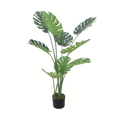 comprar Costilla de Adán (Monstera deliciosa, planta suiza) - 120 cm online de desde 35,50 € comprar Costilla de Adán (Monstera deliciosa, planta suiza) - 120 cm online de desde 35,50 €