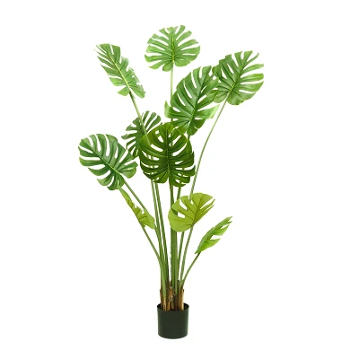 comprar Costilla de Adán (Monstera deliciosa, planta suiza) - 160 cm online de desde 48,00 € comprar Costilla de Adán (Monstera deliciosa, planta suiza) - 160 cm online de desde 48,00 €