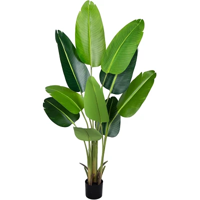 comprar Ave del Paraíso (Strelitzia, flor del paraíso) - 160 cm online de desde 83,49 € comprar Ave del Paraíso (Strelitzia, flor del paraíso) - 160 cm online de desde 83,49 €