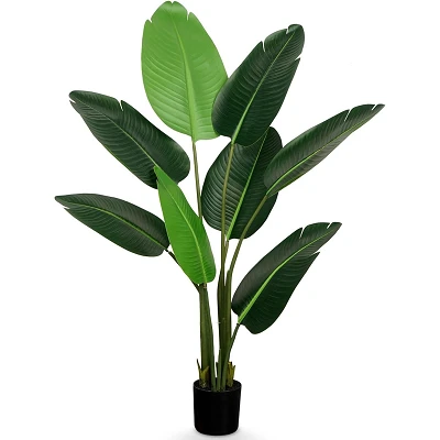 comprar Ave del Paraíso (Strelitzia, flor del paraíso) - 120 cm online de desde 69,58 € comprar Ave del Paraíso (Strelitzia, flor del paraíso) - 120 cm online de desde 69,58 €