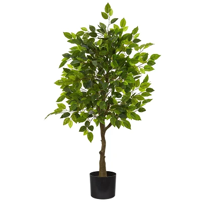 comprar Ficus - 150 cm online de desde 52,56 € comprar Ficus - 150 cm online de desde 52,56 €