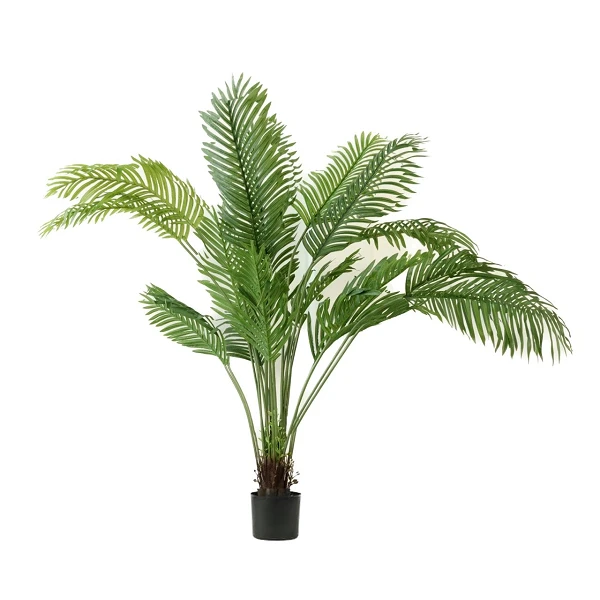Palmera Areca - 160 cm