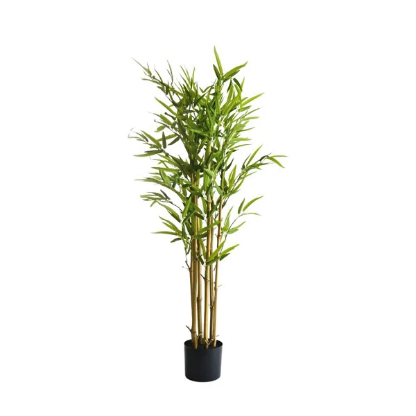 Bambú - 105 cm