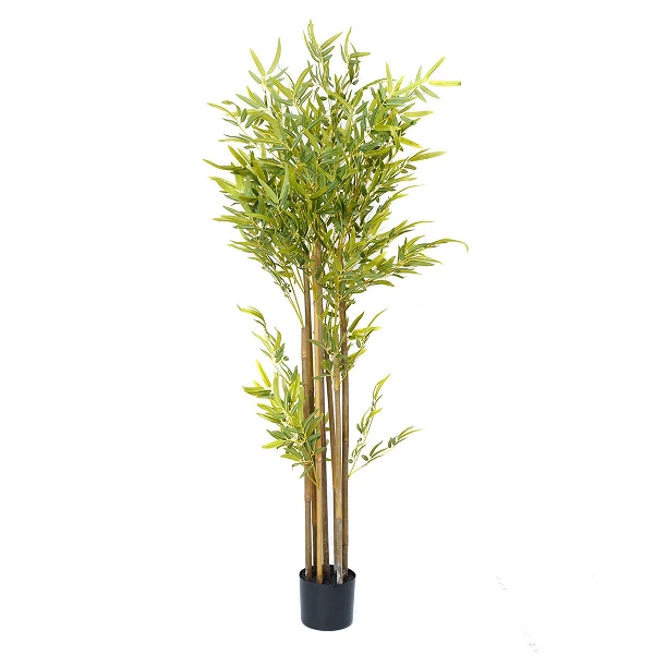 Bambú - 150 cm