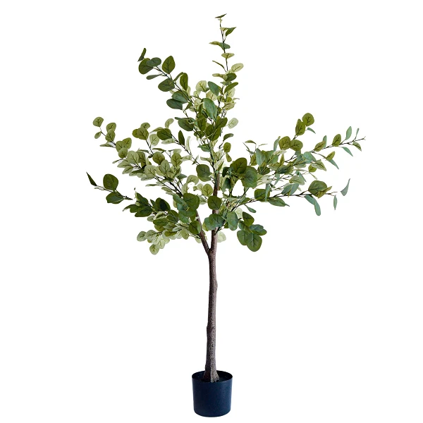 Eucalipto - 150 cm