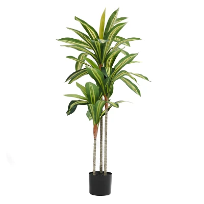 comprar Dracena - 120 cm online de desde 55,44 € comprar Dracena - 120 cm online de desde 55,44 €