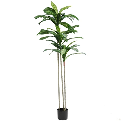 comprar Dracena - 150 cm online de desde 62,64 € comprar Dracena - 150 cm online de desde 62,64 €