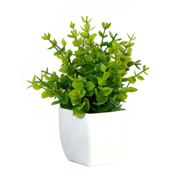 Planta Chica Arbusto 18 cm - 4u.