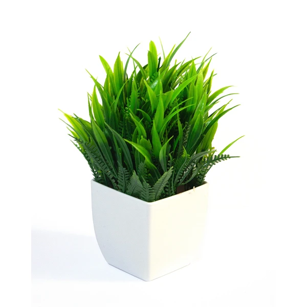 Planta Chica Bonsai 18 cm - 4u.