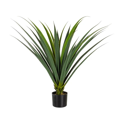 comprar PLANTA RUSCACEAE CON MACETERO 28HOJ H90CM online de BIZZOTTO desde 65,34 € comprar PLANTA RUSCACEAE CON MACETERO 28HOJ H90CM online de BIZZOTTO desde 65,34 €