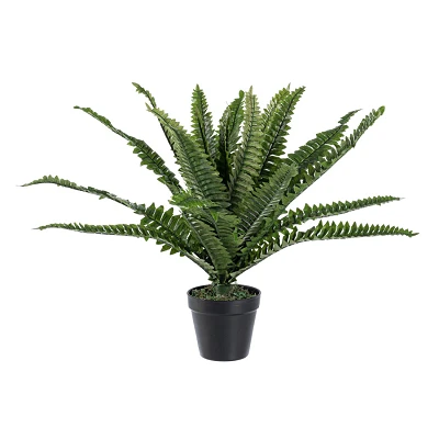 comprar PLANTA HELECHO CON MACETERO 24HOJ H45CM online de BIZZOTTO desde 29,19 € comprar PLANTA HELECHO CON MACETERO 24HOJ H45CM online de BIZZOTTO desde 29,19 €