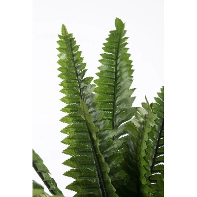 comprar PLANTA HELECHO CON MACETERO 24HOJ H45CM online de BIZZOTTO desde 29,19 € comprar PLANTA HELECHO CON MACETERO 24HOJ H45CM online de BIZZOTTO desde 29,19 €