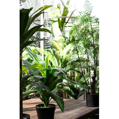 comprar PLANTA HELECHO CON MACETEROETA 75 HOJAS H108 online de BIZZOTTO desde 92,57 € comprar PLANTA HELECHO CON MACETEROETA 75 HOJAS H108 online de BIZZOTTO desde 92,57 €