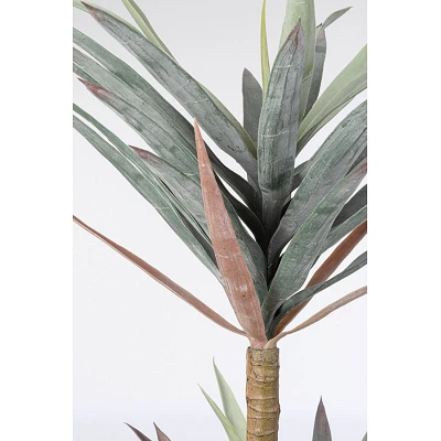 comprar PLANTA YUCCA CON MACETERO 68HOJAS H128 online de BIZZOTTO desde 77,32 € comprar PLANTA YUCCA CON MACETERO 68HOJAS H128 online de BIZZOTTO desde 77,32 €